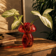 Aura Rubis